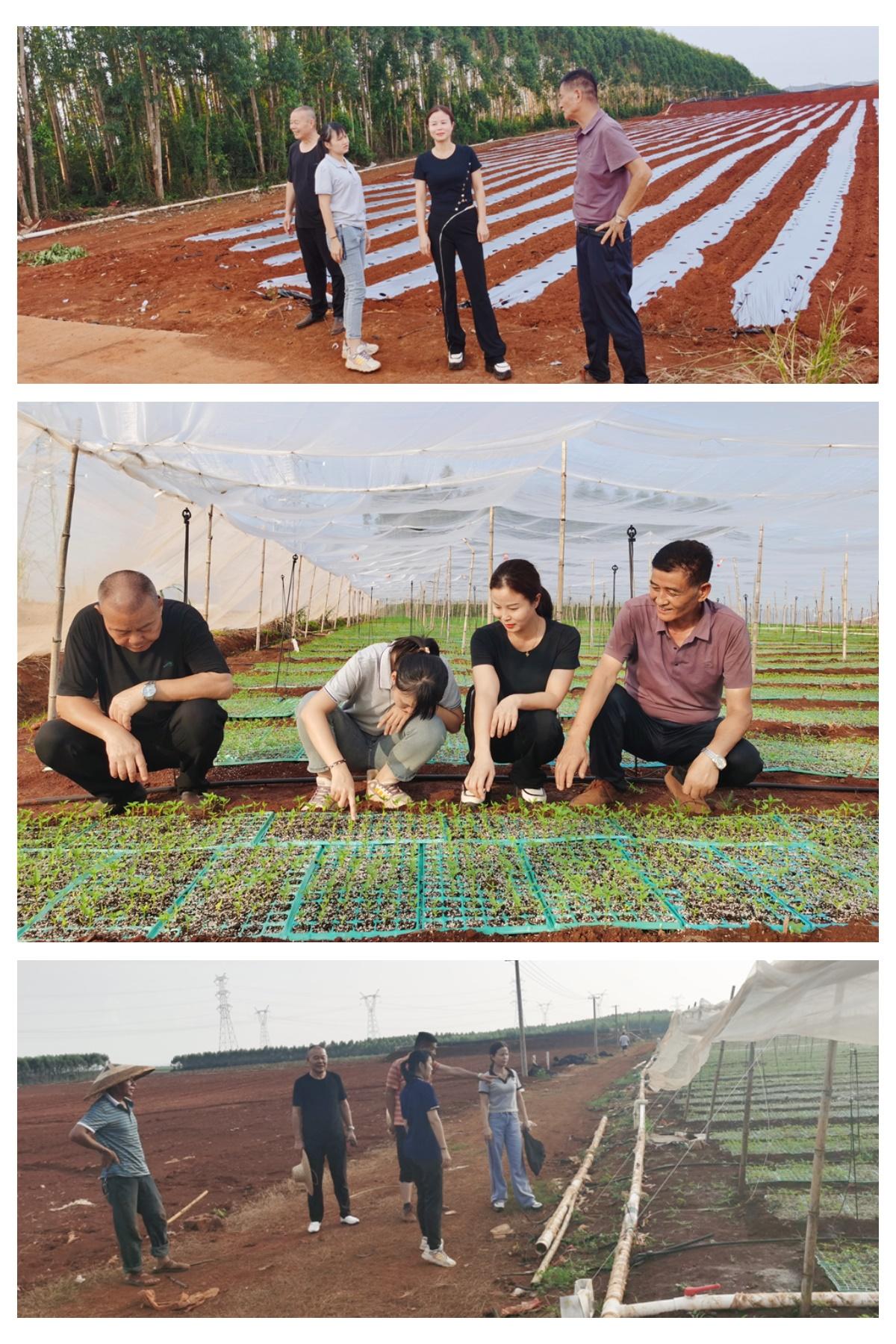 德赢·(VWIN)官方网站-AC米兰官方合作同伴