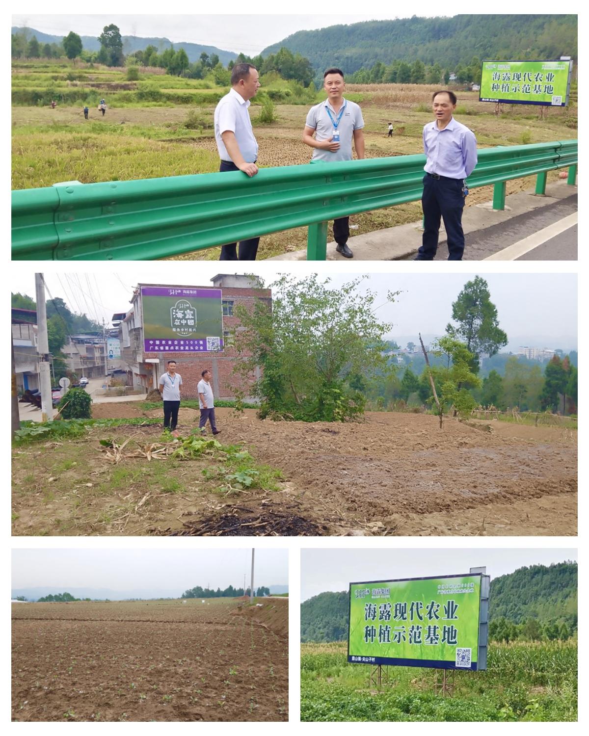 德赢·(VWIN)官方网站-AC米兰官方合作同伴