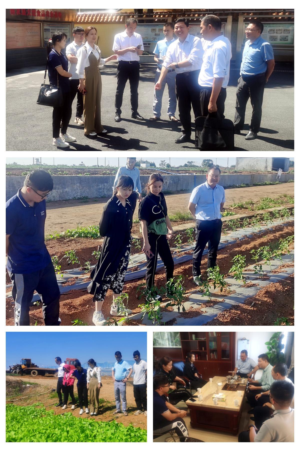 德赢·(VWIN)官方网站-AC米兰官方合作同伴