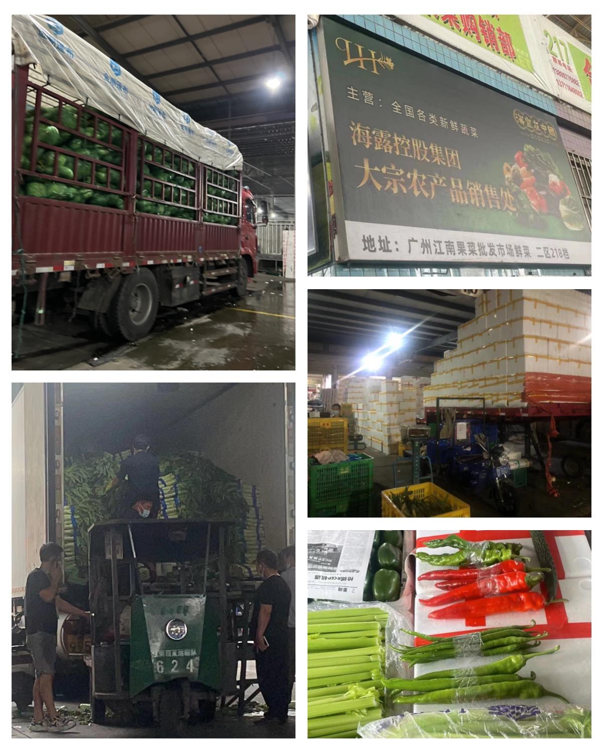 德赢·(VWIN)官方网站-AC米兰官方合作同伴