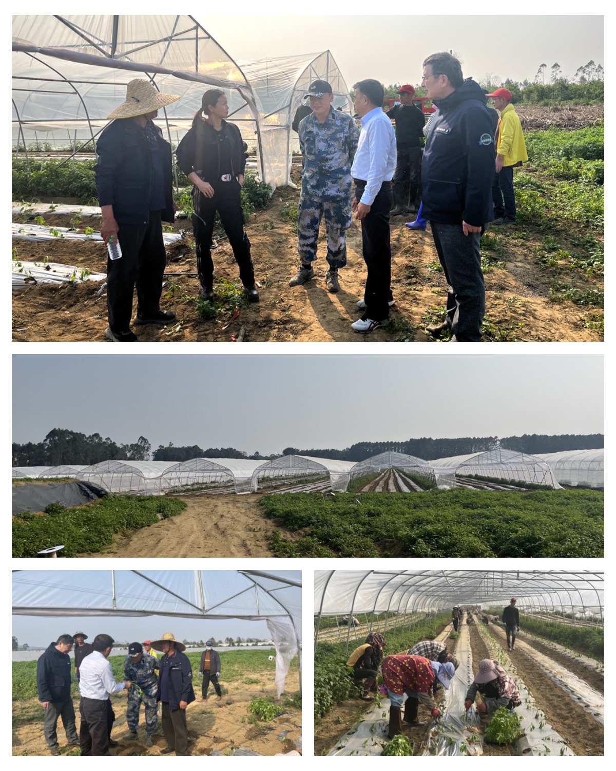 德赢·(VWIN)官方网站-AC米兰官方合作同伴