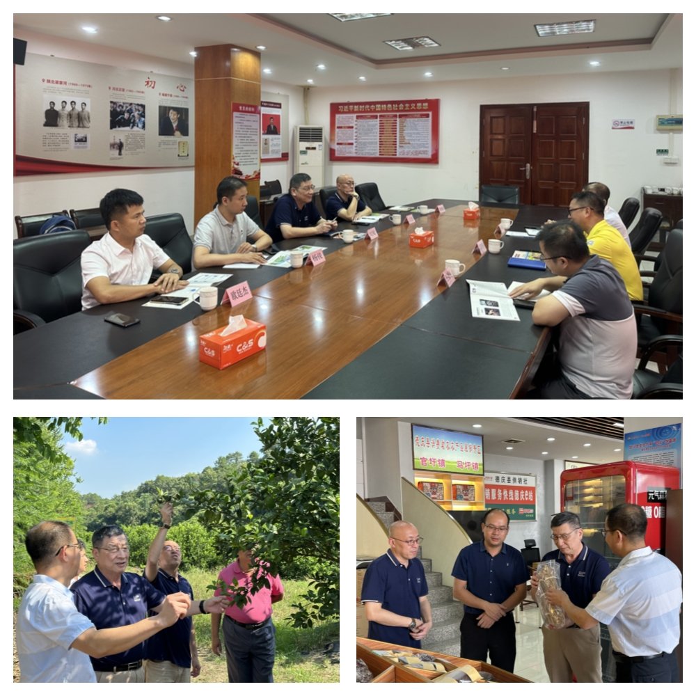 德赢·(VWIN)官方网站-AC米兰官方合作同伴