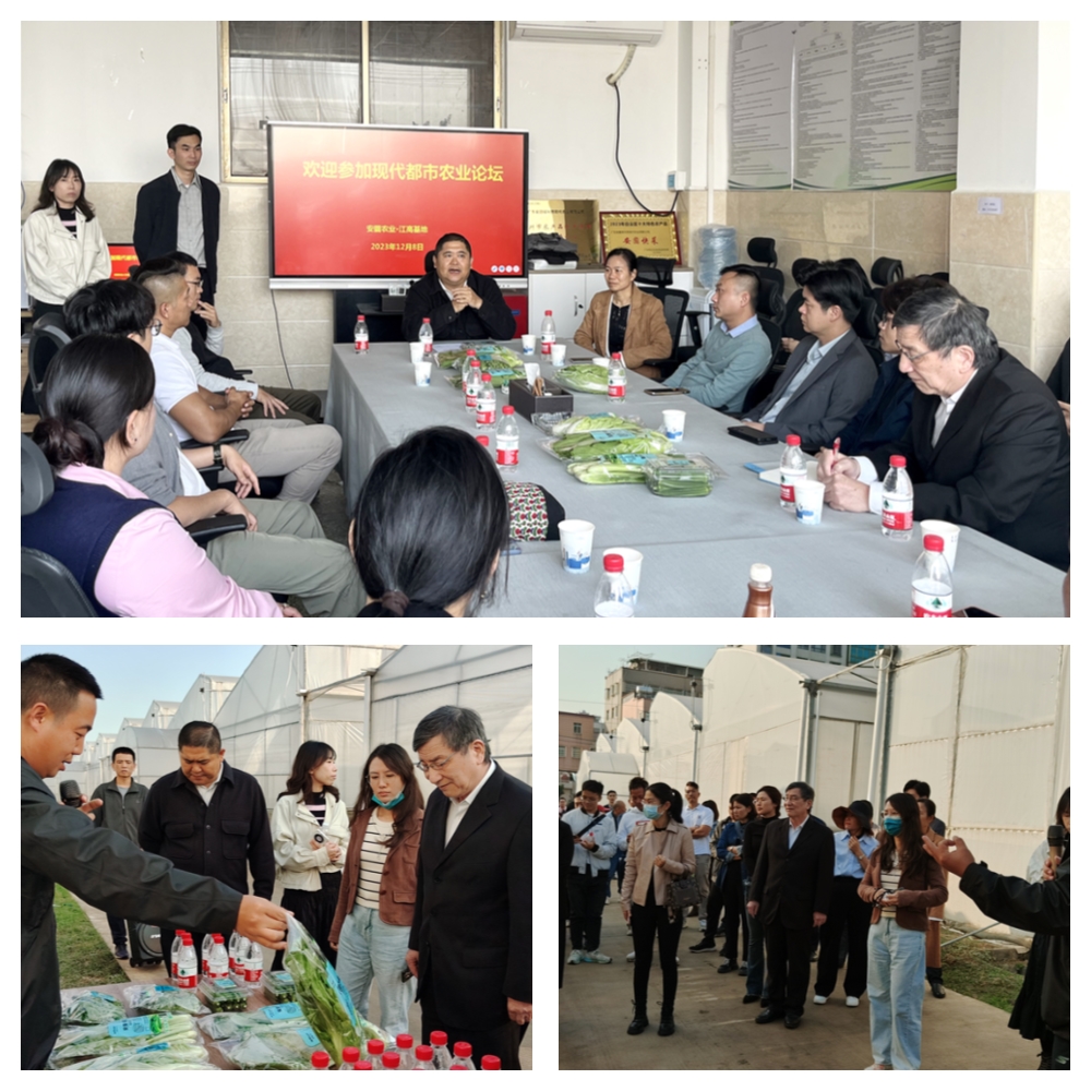 德赢·(VWIN)官方网站-AC米兰官方合作同伴