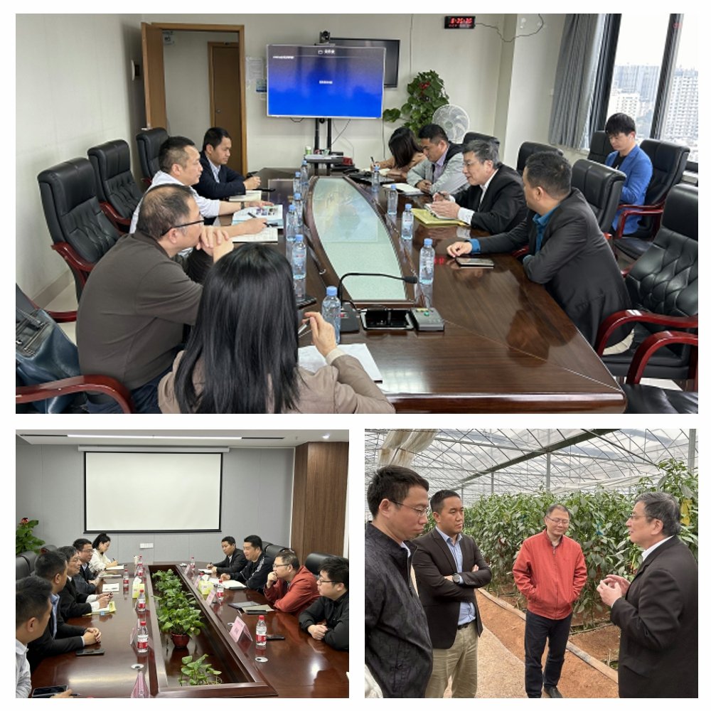 德赢·(VWIN)官方网站-AC米兰官方合作同伴