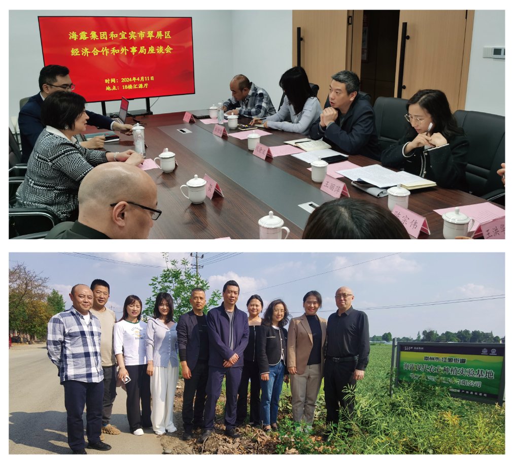 德赢·(VWIN)官方网站-AC米兰官方合作同伴