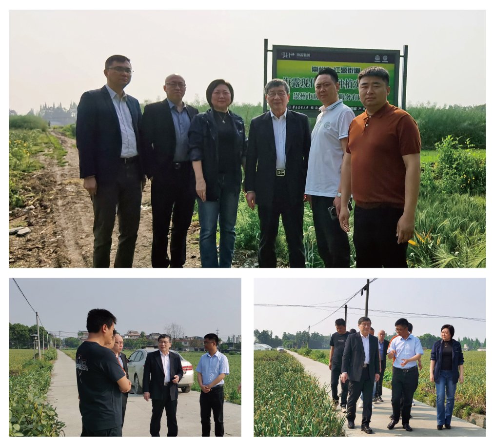 德赢·(VWIN)官方网站-AC米兰官方合作同伴