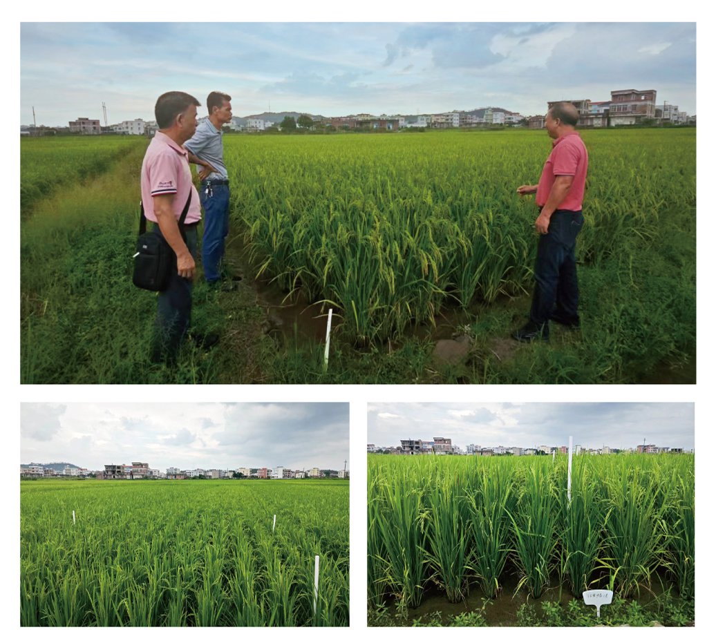 德赢·(VWIN)官方网站-AC米兰官方合作同伴