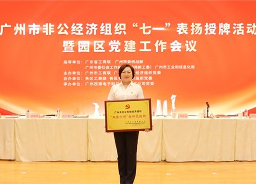 标杆引领，荣誉升级！集团党支部荣膺广州市非公有造经济组织“双强六好”标