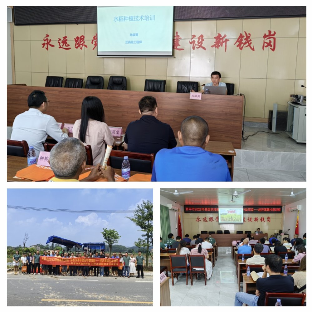 德赢·(VWIN)官方网站-AC米兰官方合作同伴