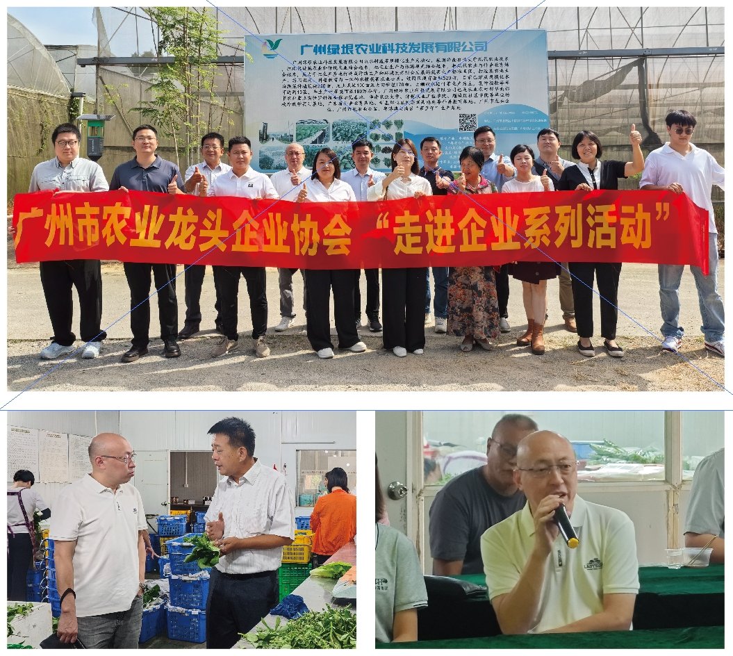 德赢·(VWIN)官方网站-AC米兰官方合作同伴