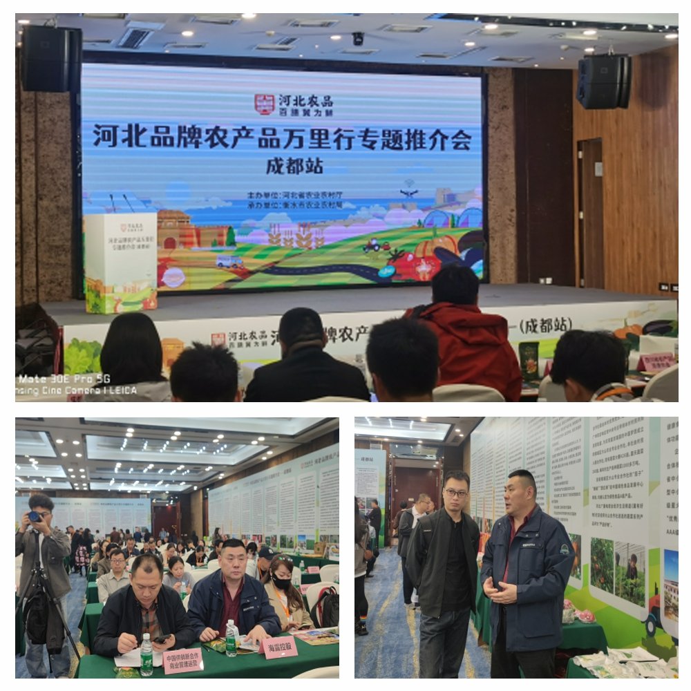 德赢·(VWIN)官方网站-AC米兰官方合作同伴