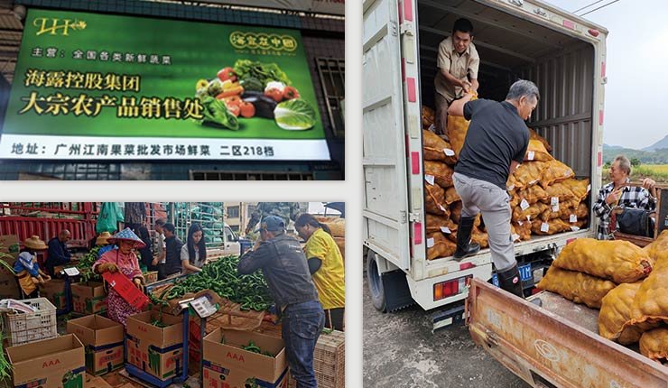 德赢·(VWIN)官方网站-AC米兰官方合作同伴