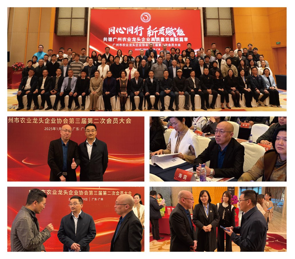 德赢·(VWIN)官方网站-AC米兰官方合作同伴