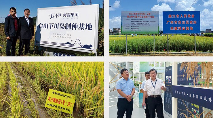 德赢·(VWIN)官方网站-AC米兰官方合作同伴