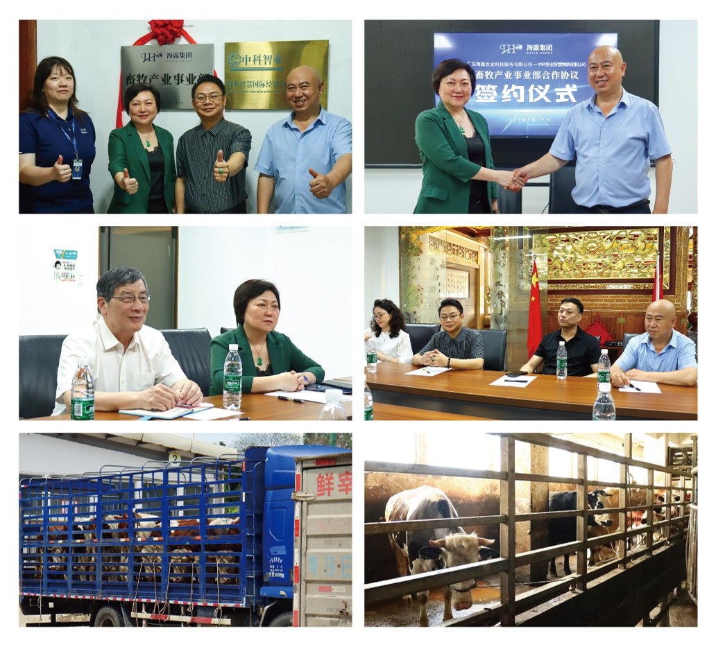 德赢·(VWIN)官方网站-AC米兰官方合作同伴