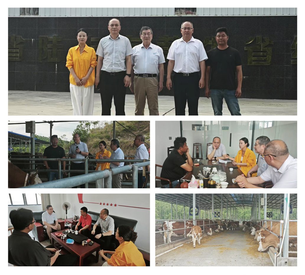 德赢·(VWIN)官方网站-AC米兰官方合作同伴