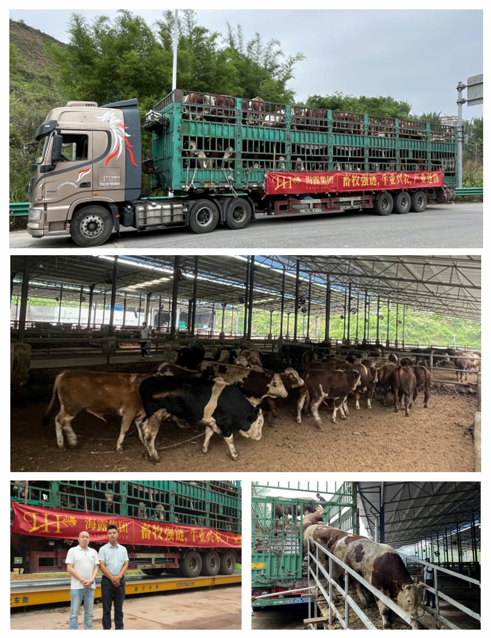 德赢·(VWIN)官方网站-AC米兰官方合作同伴