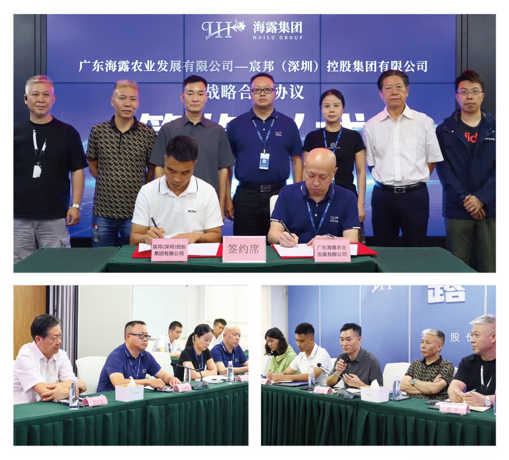 德赢·(VWIN)官方网站-AC米兰官方合作同伴