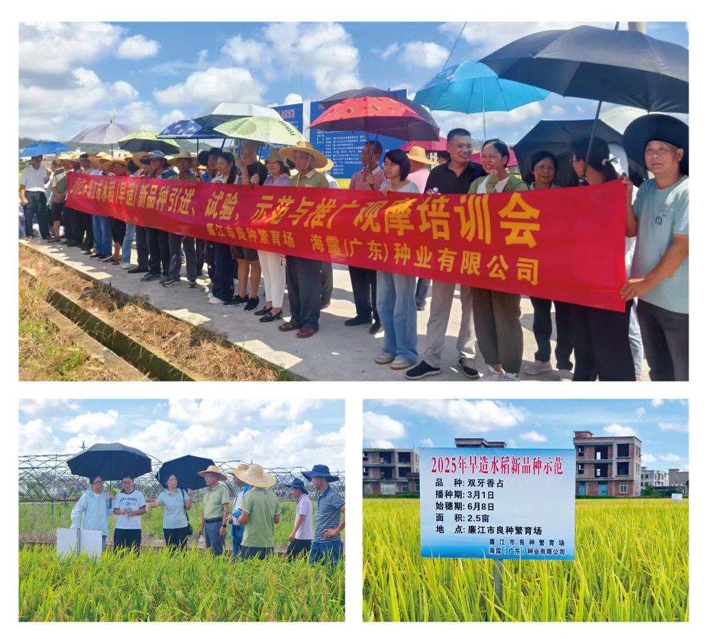 德赢·(VWIN)官方网站-AC米兰官方合作同伴