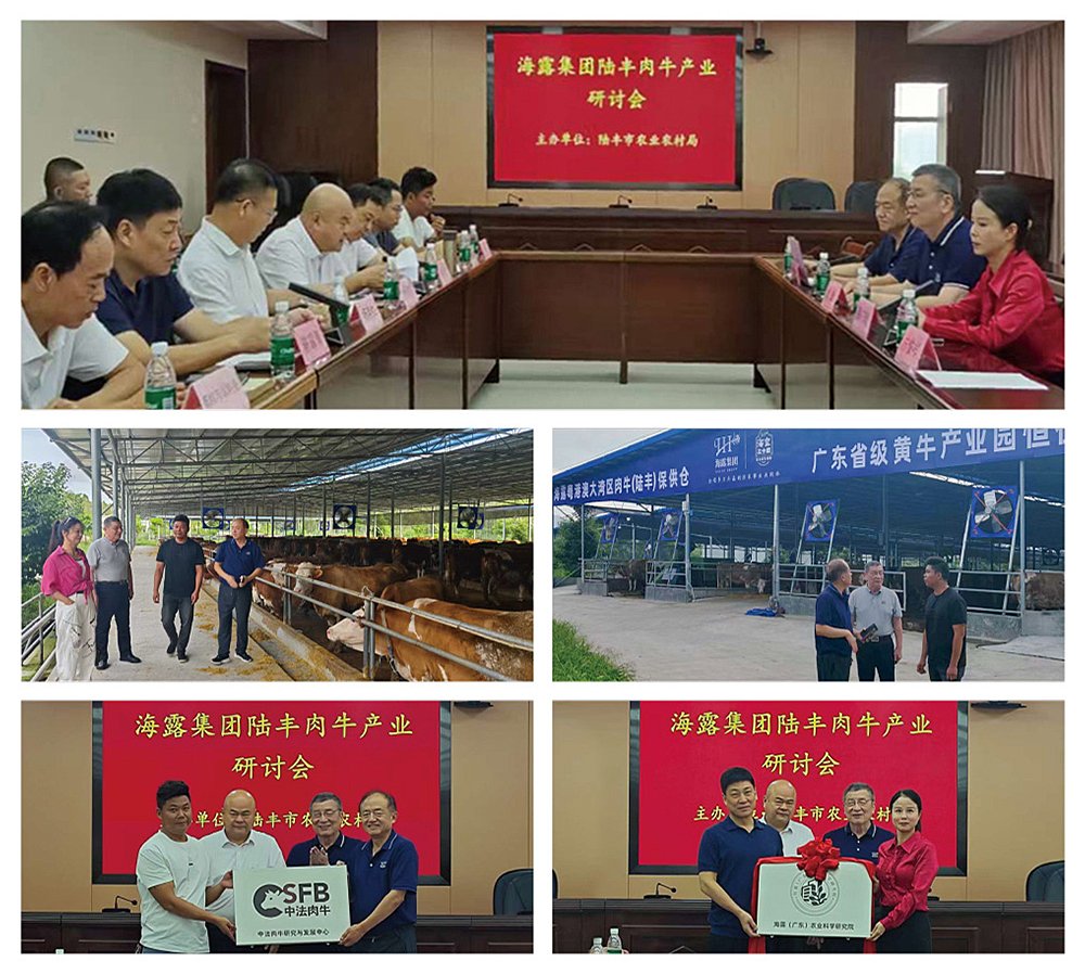 德赢·(VWIN)官方网站-AC米兰官方合作同伴