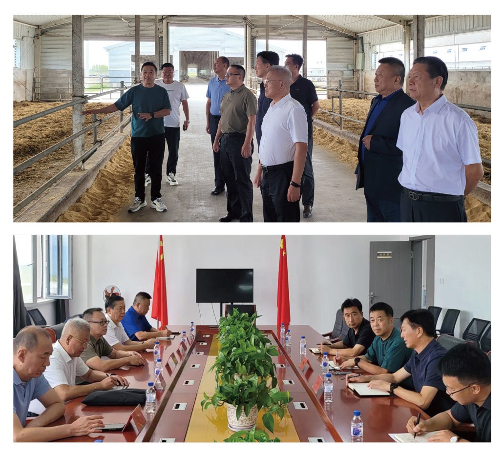 德赢·(VWIN)官方网站-AC米兰官方合作同伴