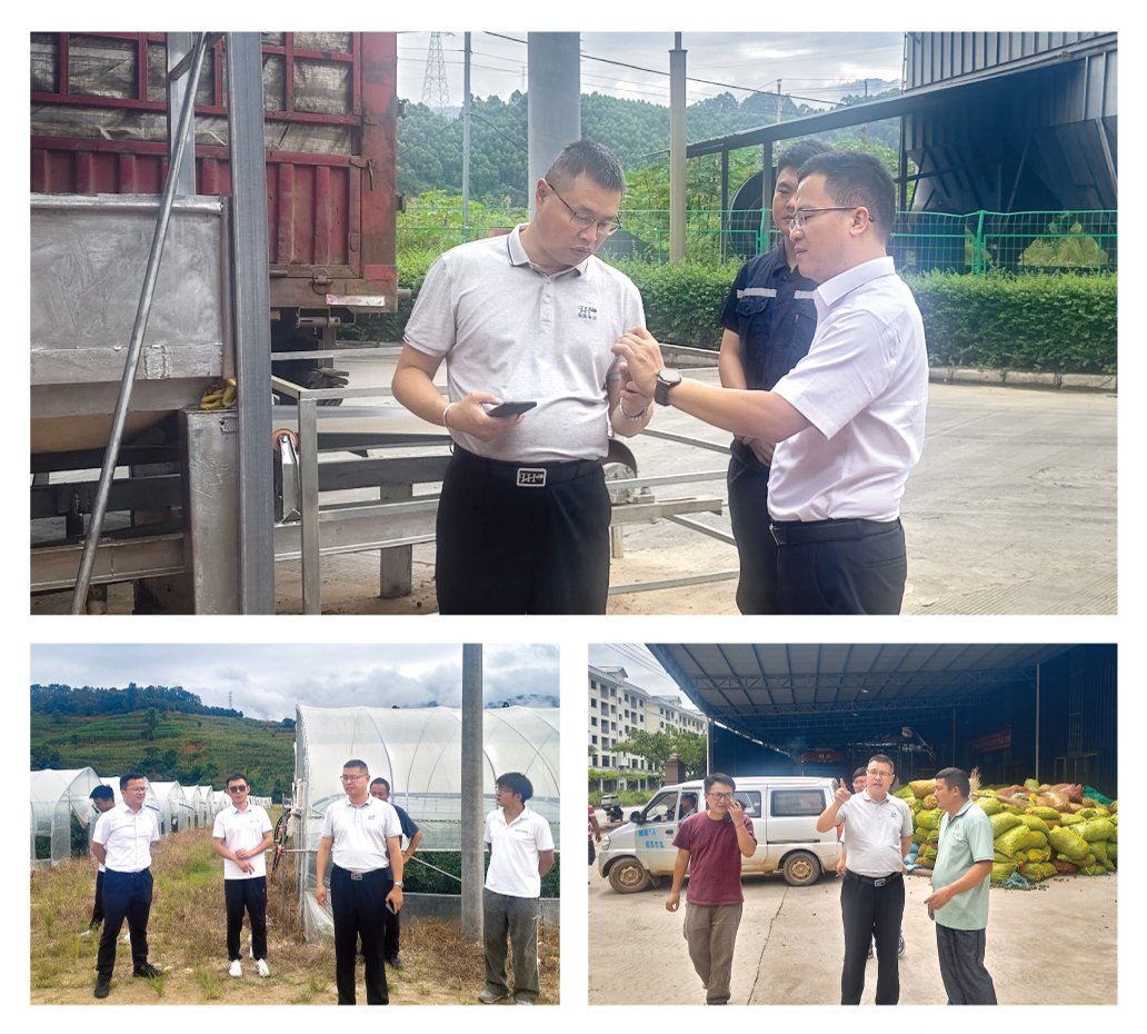 德赢·(VWIN)官方网站-AC米兰官方合作同伴