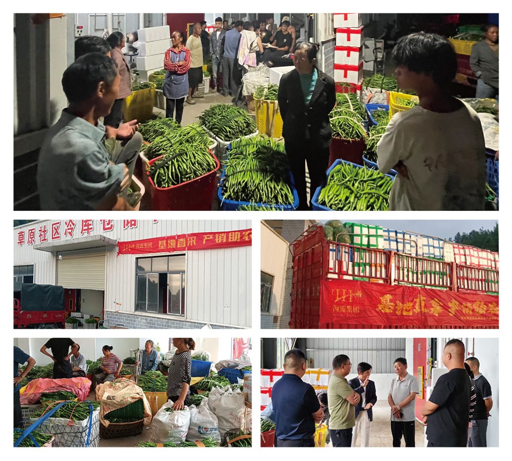 德赢·(VWIN)官方网站-AC米兰官方合作同伴