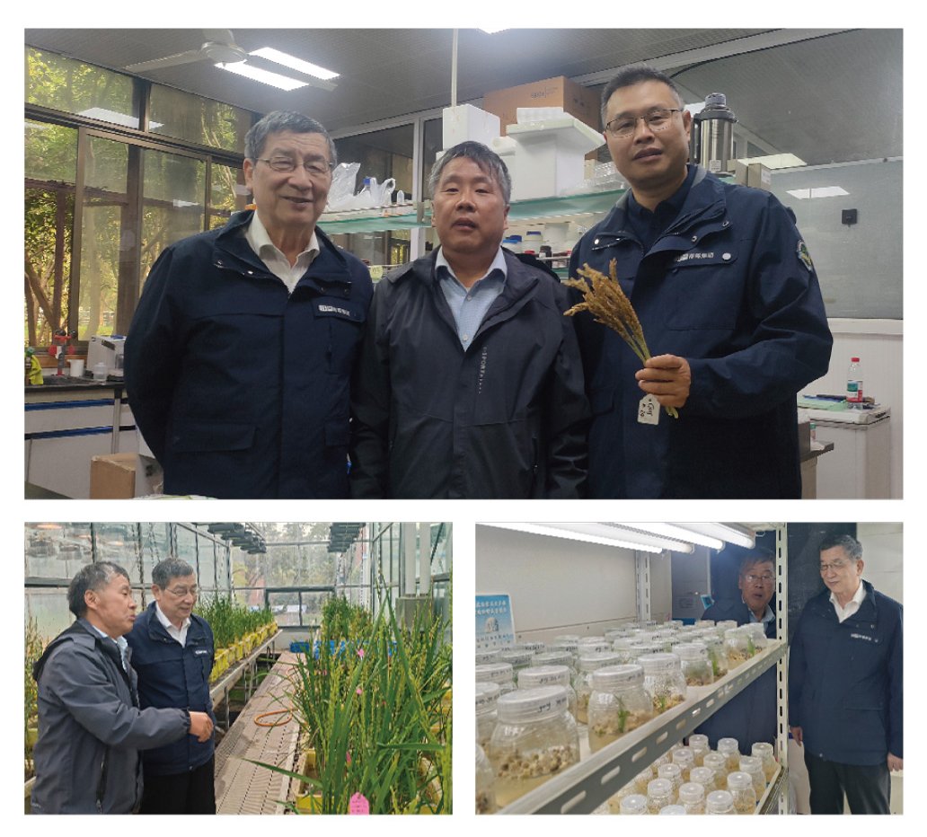 德赢·(VWIN)官方网站-AC米兰官方合作同伴