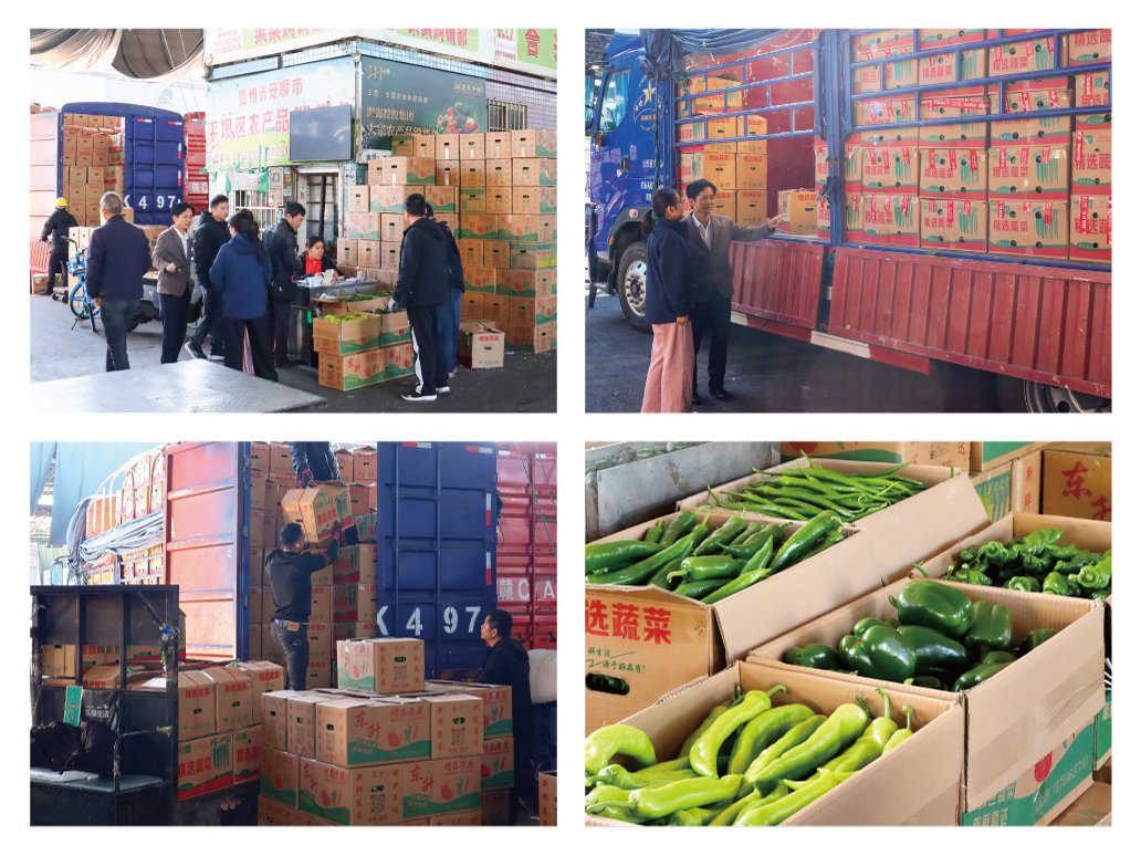 德赢·(VWIN)官方网站-AC米兰官方合作同伴